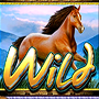 Wild коричневая лошадь